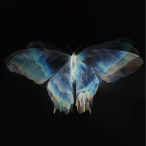 Meet your Posher, Sergio